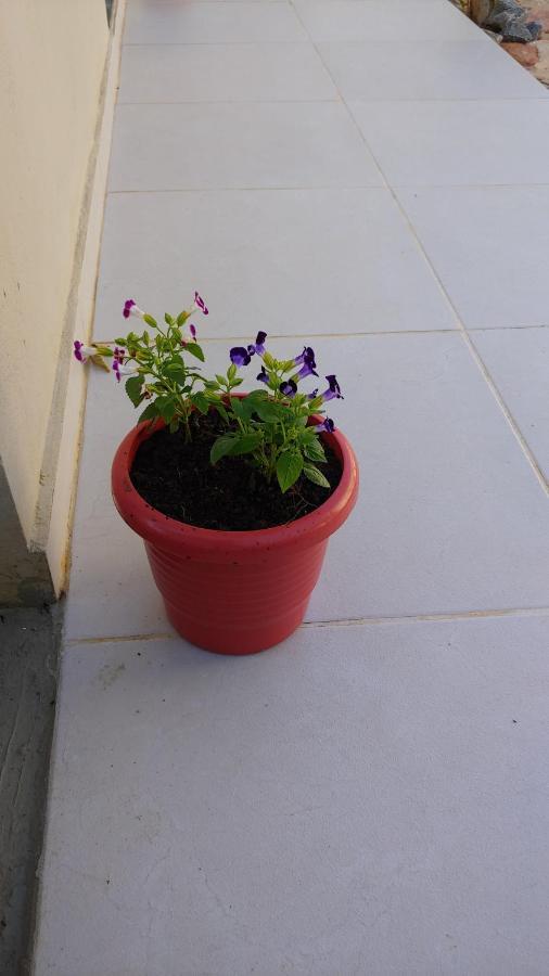 Casal Ostara Begonia Hotell Alto Paraíso de Goiás Eksteriør bilde